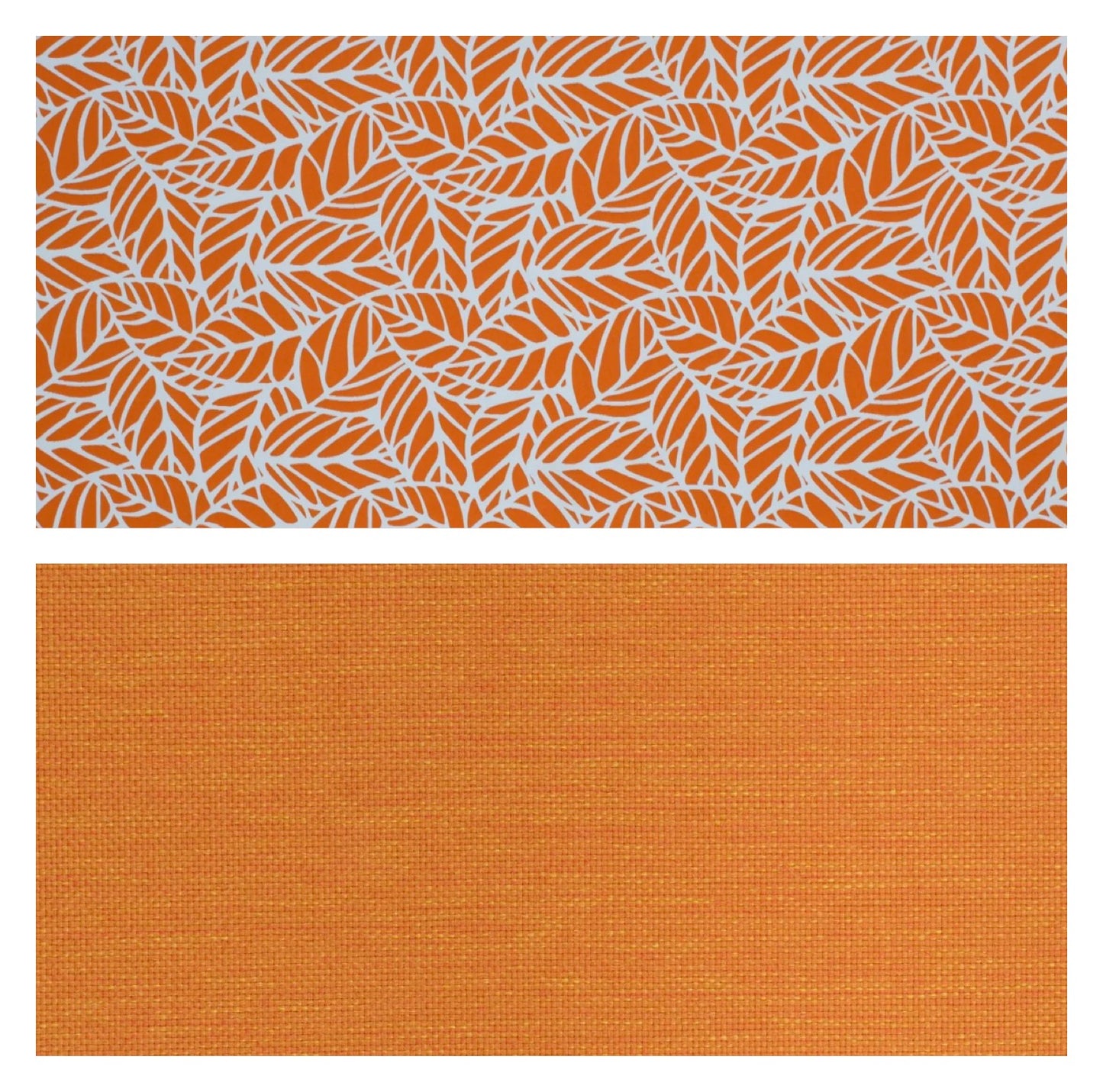 Coral Reef Orange