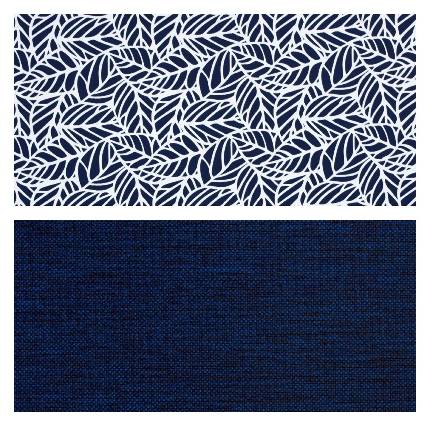 Midnight Reef Blue Colour