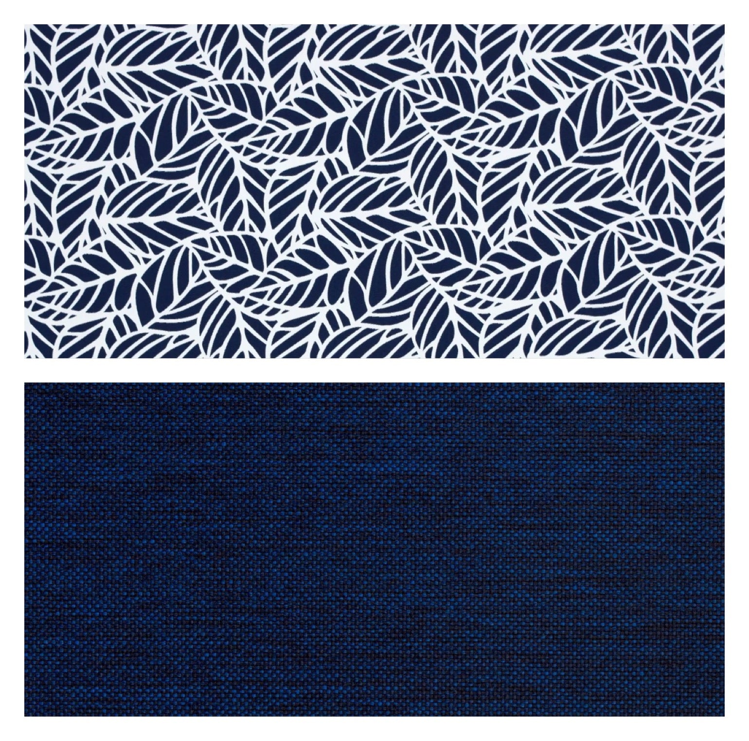 Midnight Reef Blue Colour