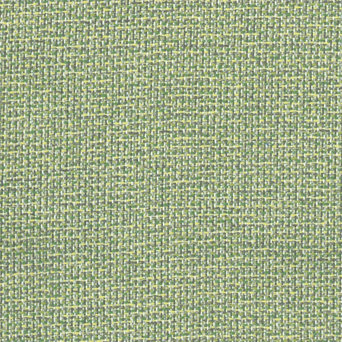 Kuata Palm premium fabric swatch