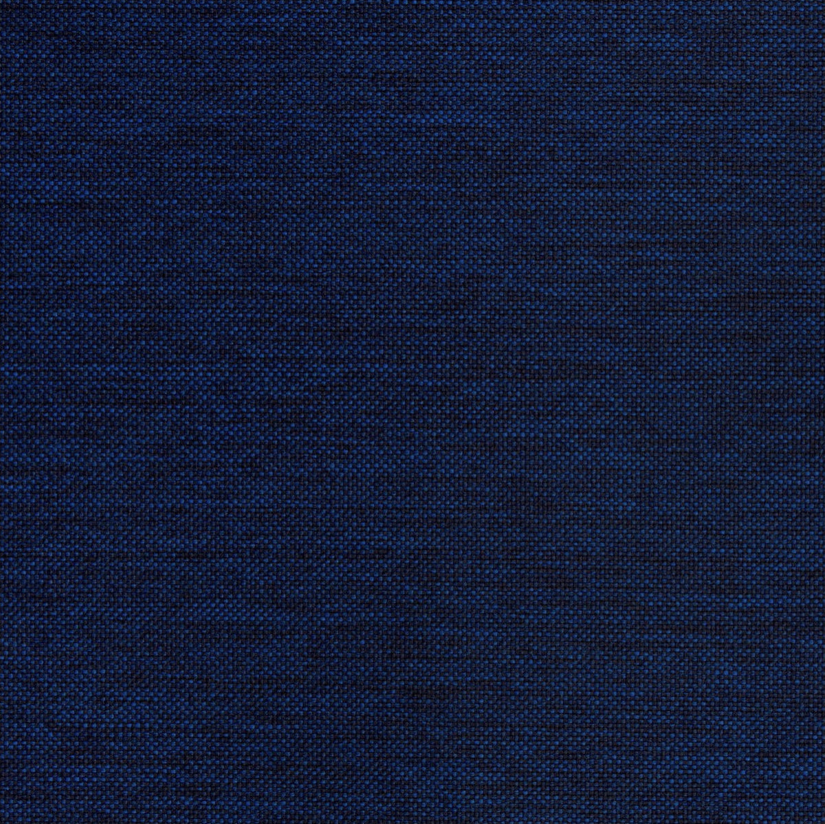 Lomani Navy fabric swatch