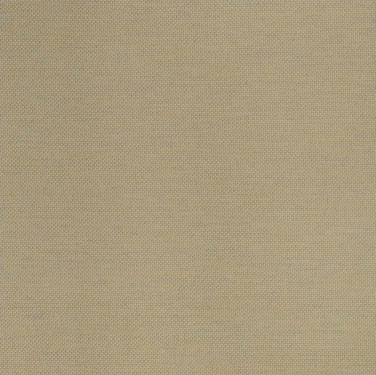 Lomani Sand fabric swatch