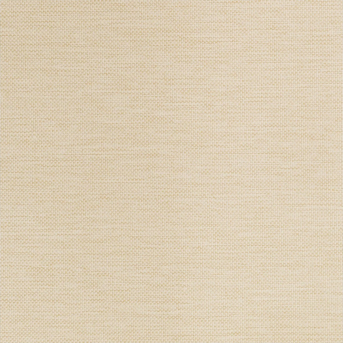 Lomani Shell fabric swatch
