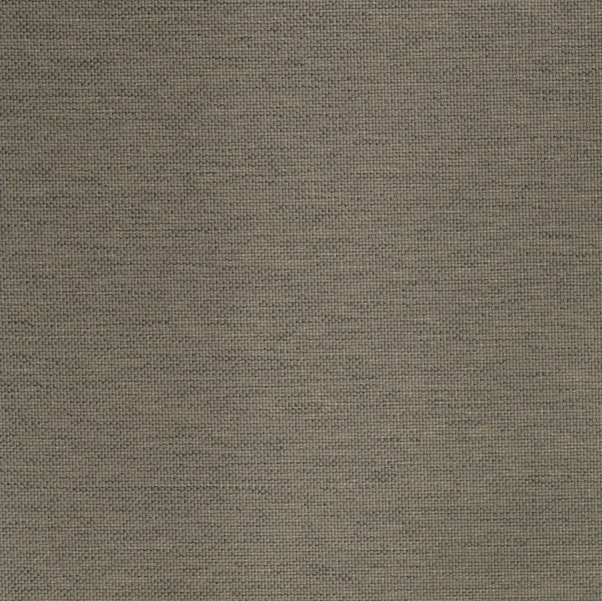 Lomani Stone fabric swatch