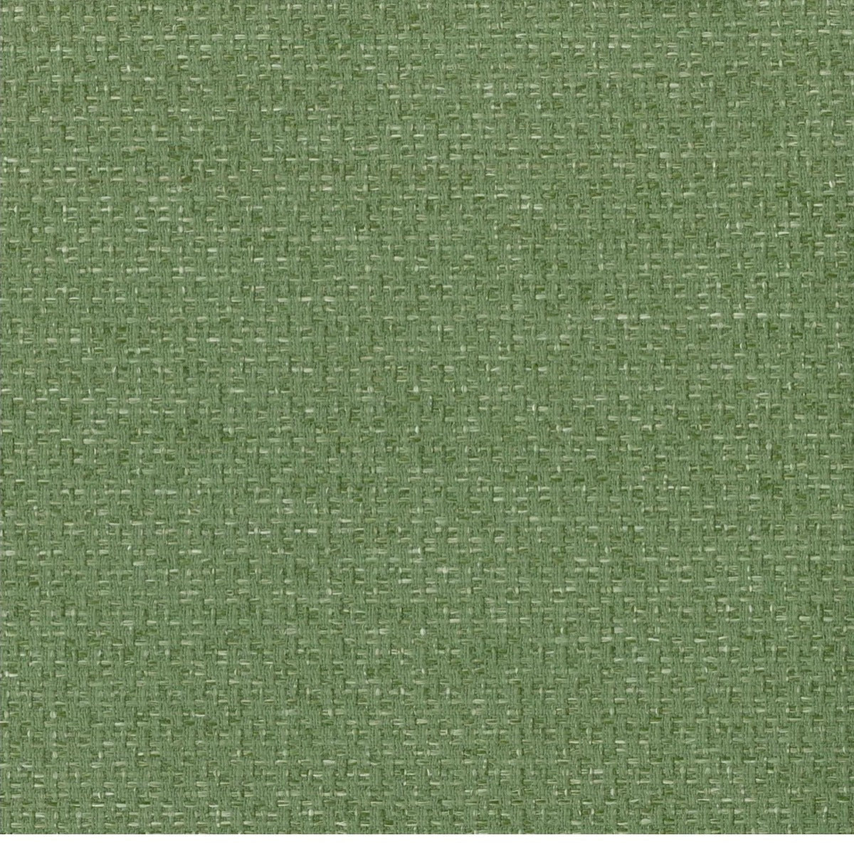 Macedon Grass upgraded fabric swatch