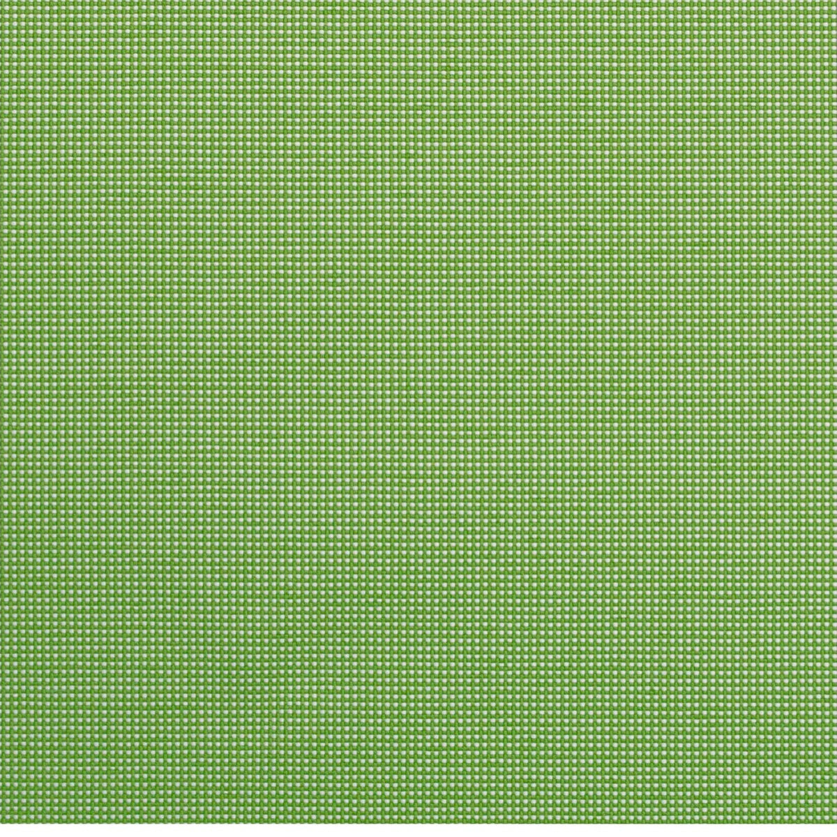 Noosa Lime fabric swatch