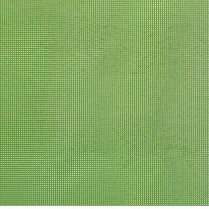 Noosa Lime fabric swatch