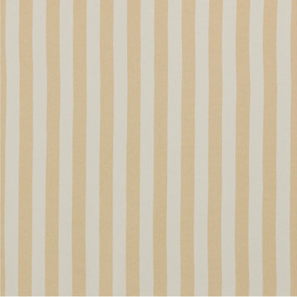 Serengeti Beach premium fabric swatch