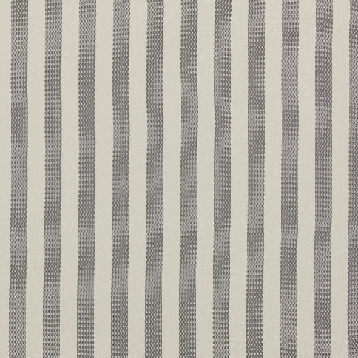 Serengeti Gull premium fabric swatch